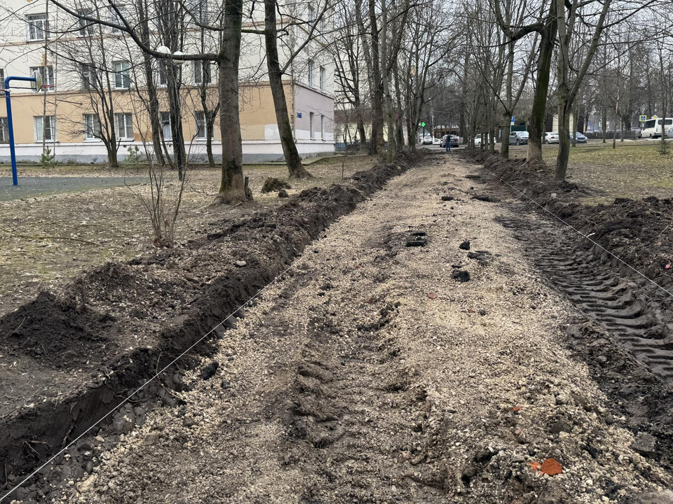 Фото: пресс-служба администрации г.о. Красногорск
