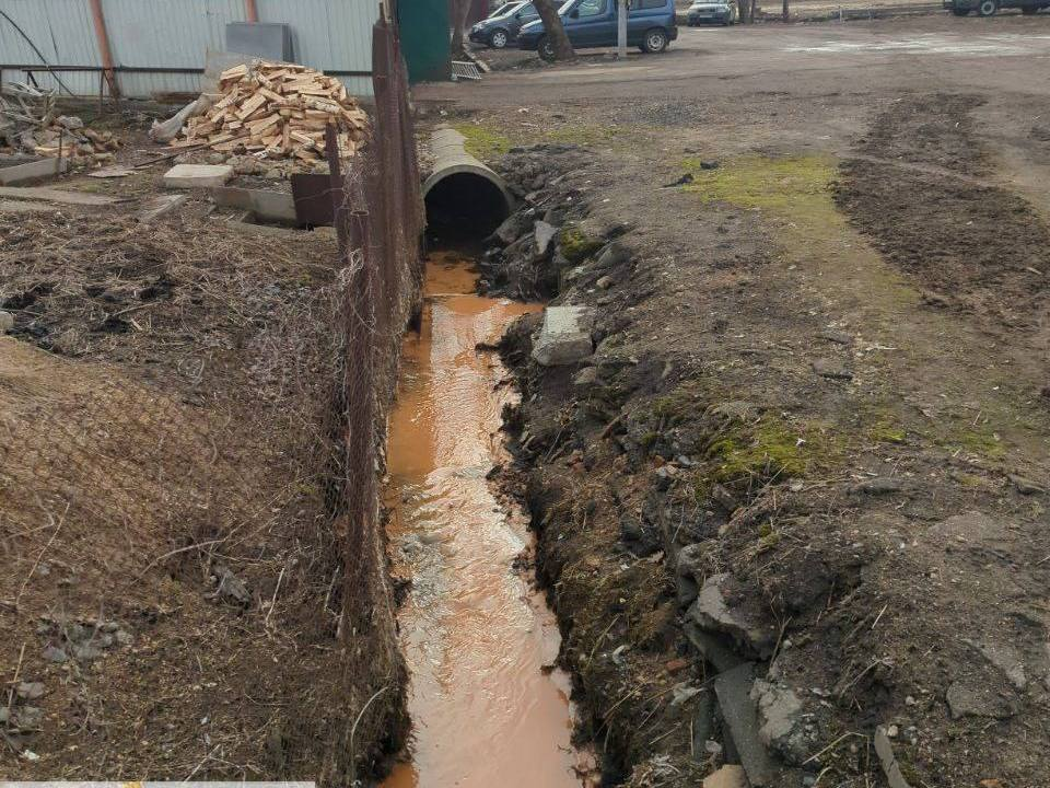 Фото: управление экологии городского округа Мытищи