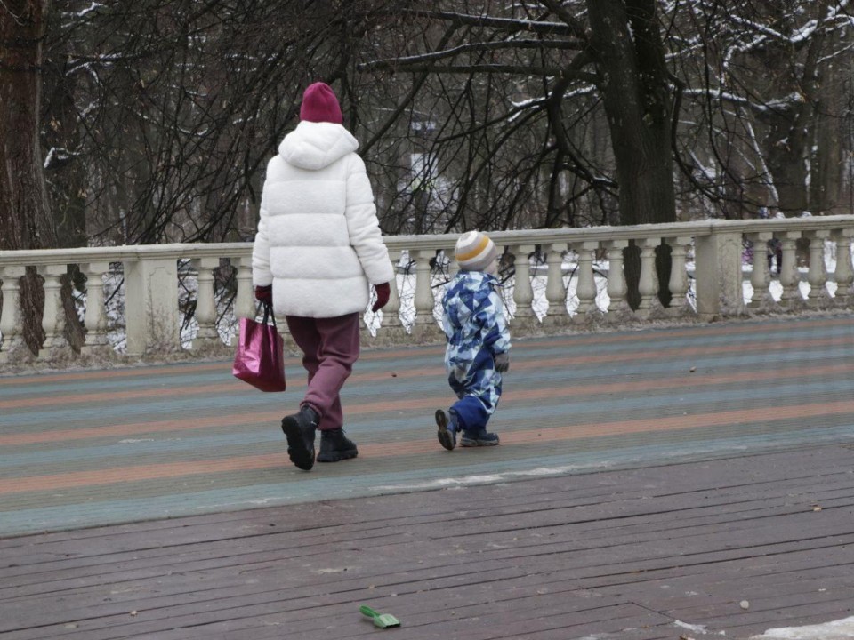 Фото: Министерство благоустройства Московской области