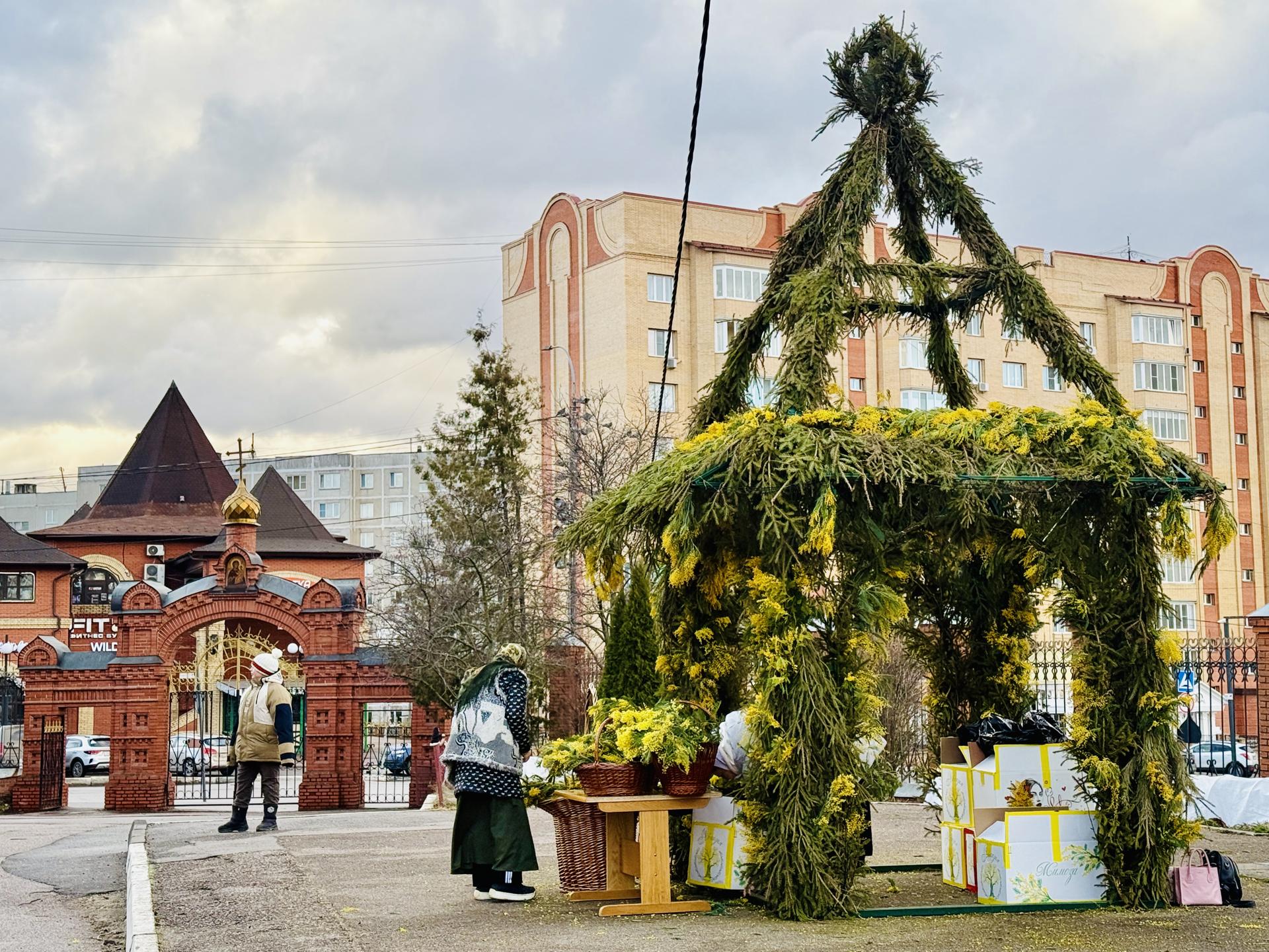 Фото: Ольга Стаферова