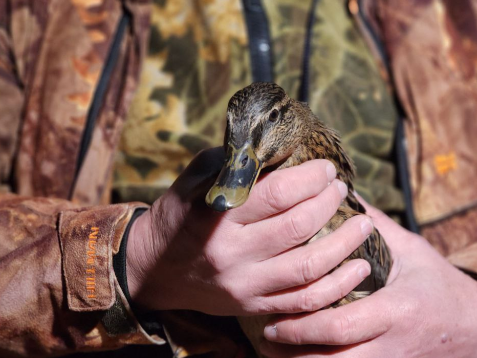 Фото: МедиаБанк Подмосковья/Евгений Рой