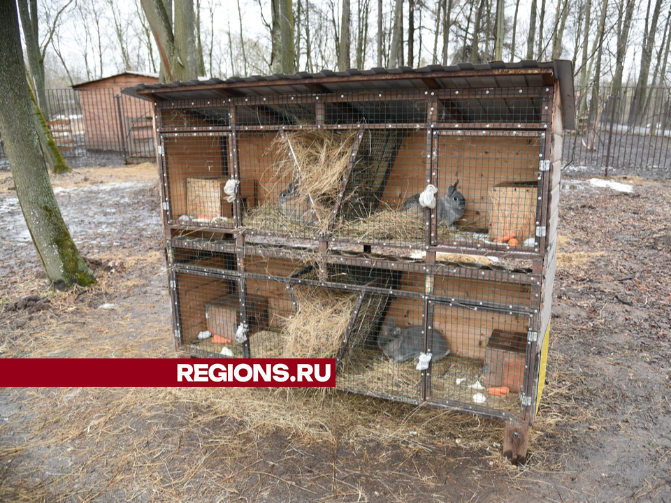 Фото: Владимир Останин