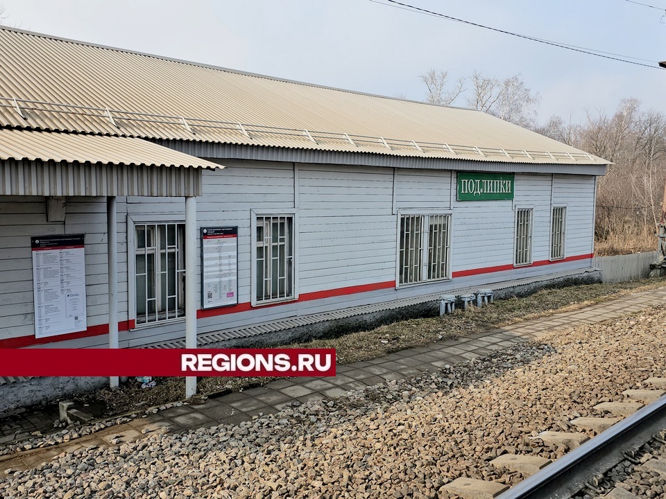 Фото: REGIONS/Александр Дрожжин