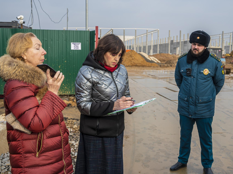 Фото: пресс-служба администрации г.о. Домодедово