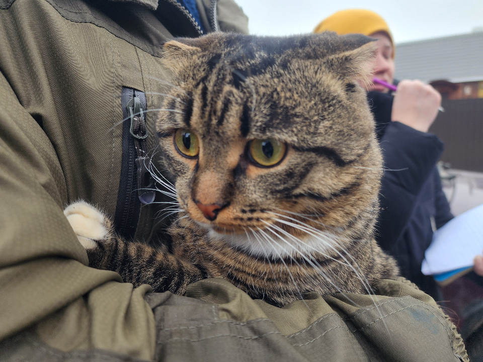 Фото: МедиаБанк Подмосковья/Анна Шолохова