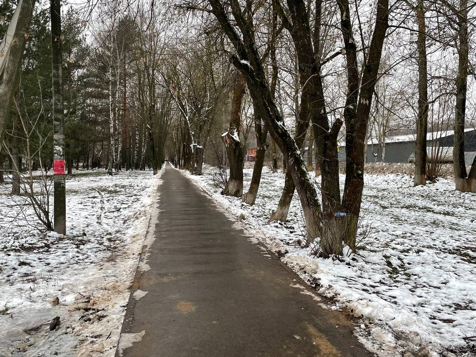 Фото: МедиаБанк Подмосковья/Евгений Рой 