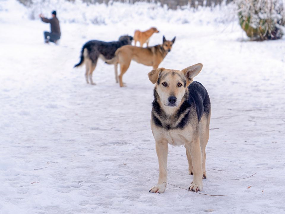 Фото: istockphoto.com