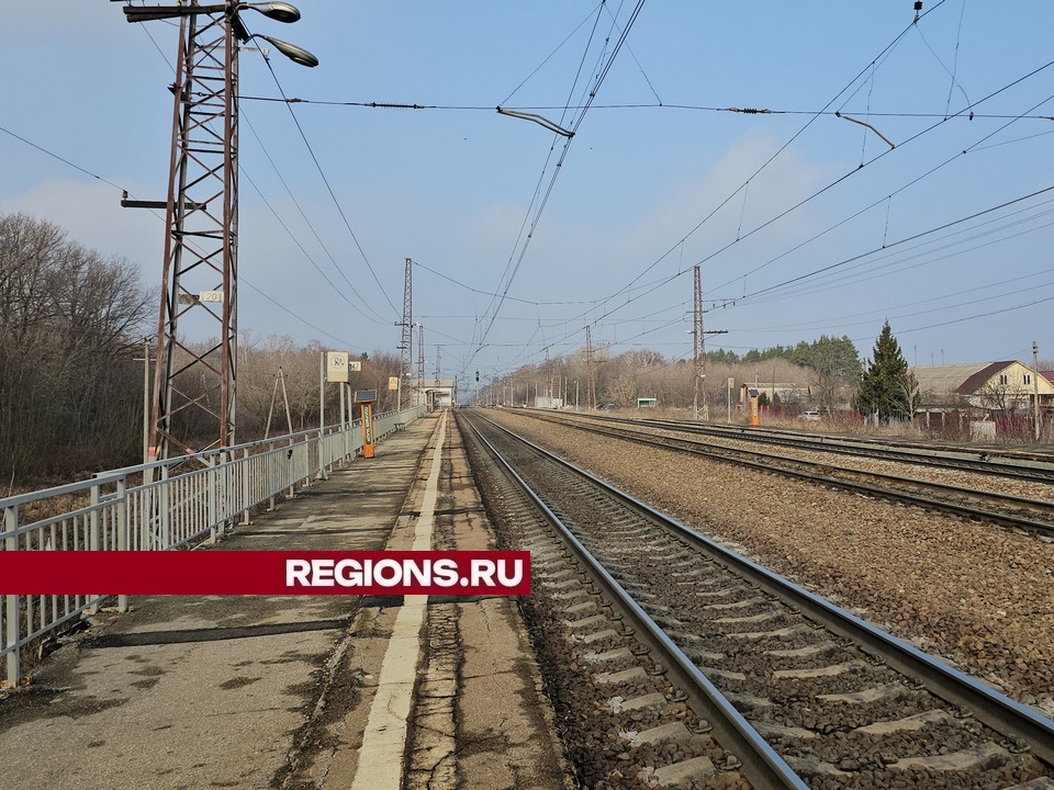 Фото: REGIONS/Александр Дрожжин