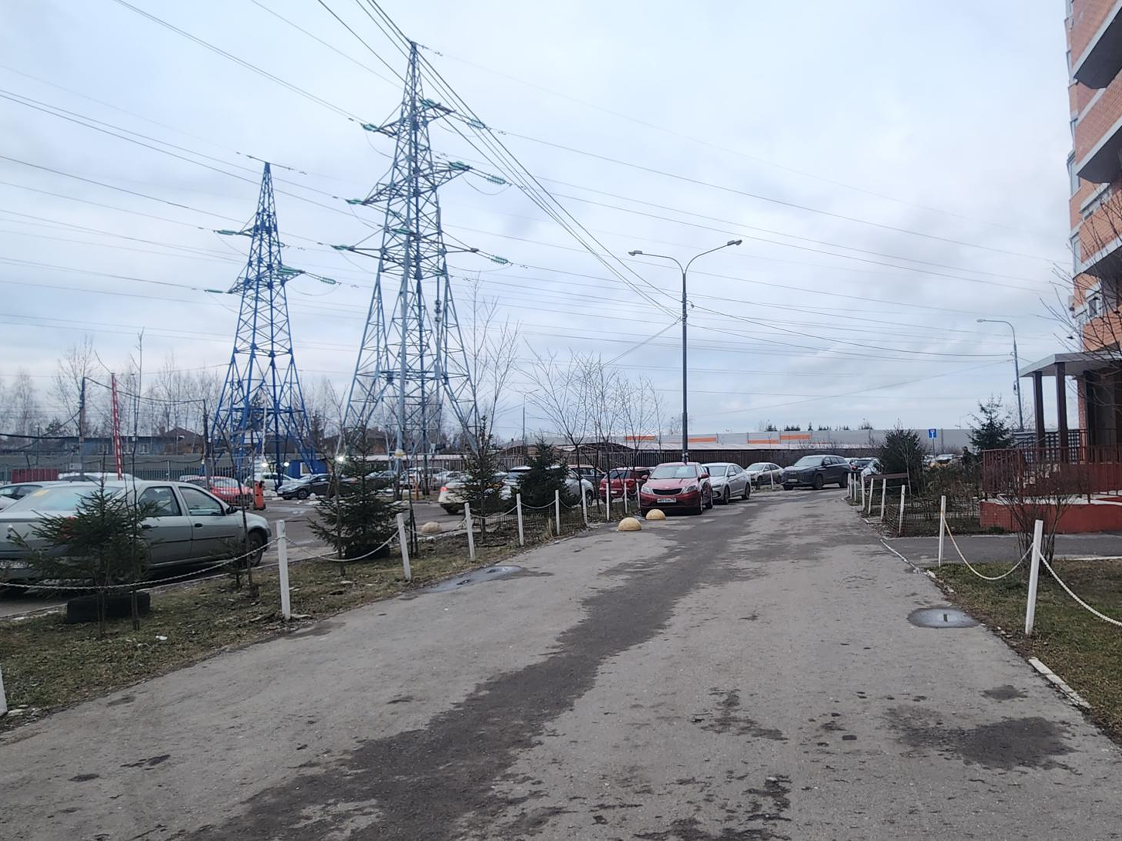 Фото: Хавива Фонина