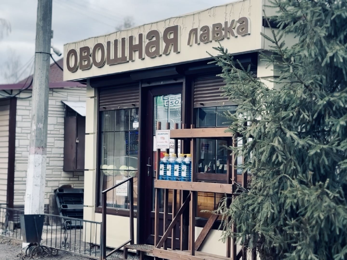 Фото: Ольга Стаферова