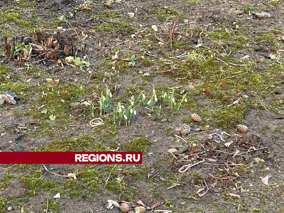 Фото: REGIONS/Елизавета Мелентьева