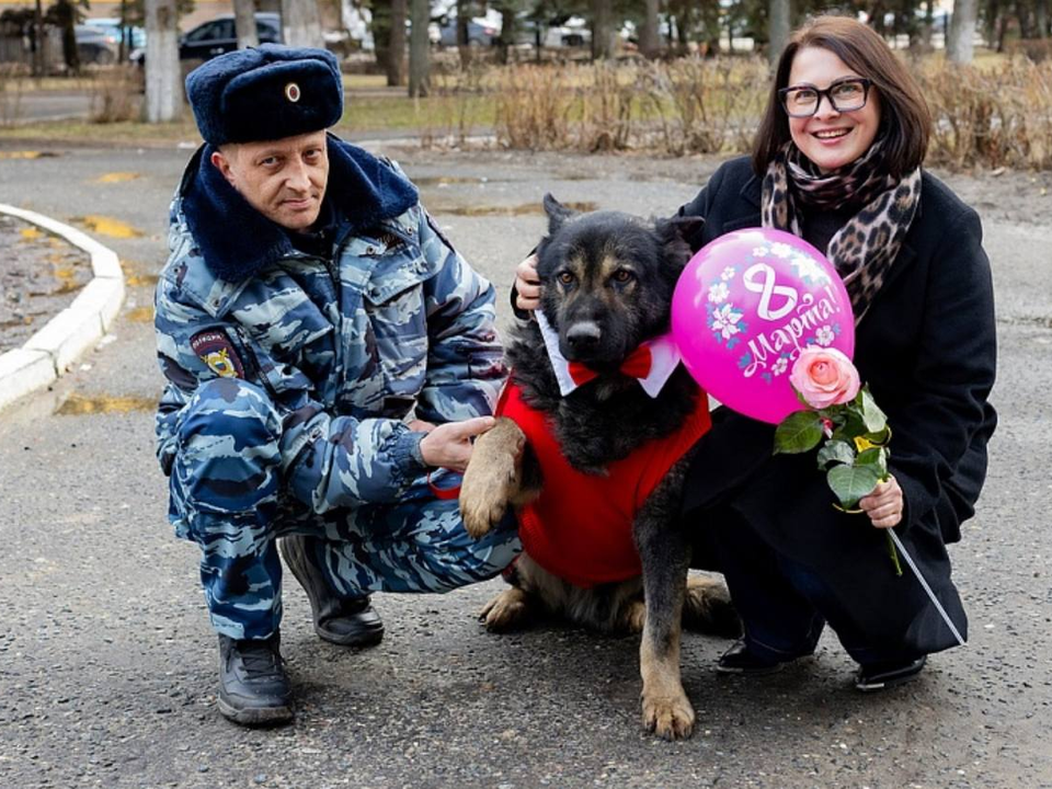 Фото: пресс-служба администрации г.о. Воскресенск