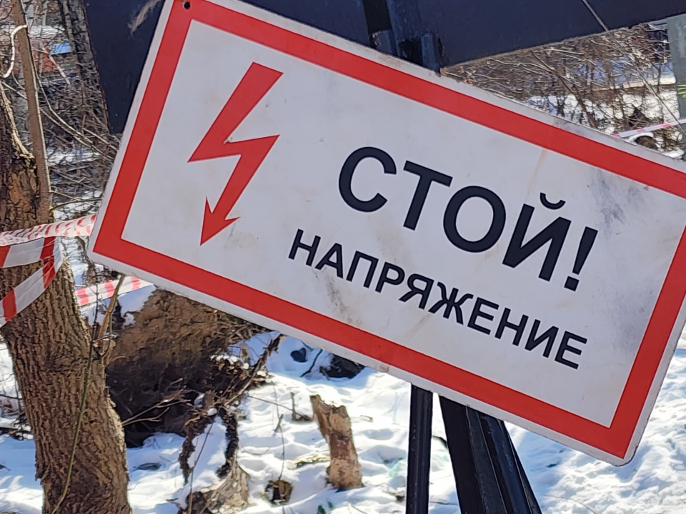 Фото: МедиаБанк Подмосковья/Хавива Фонина