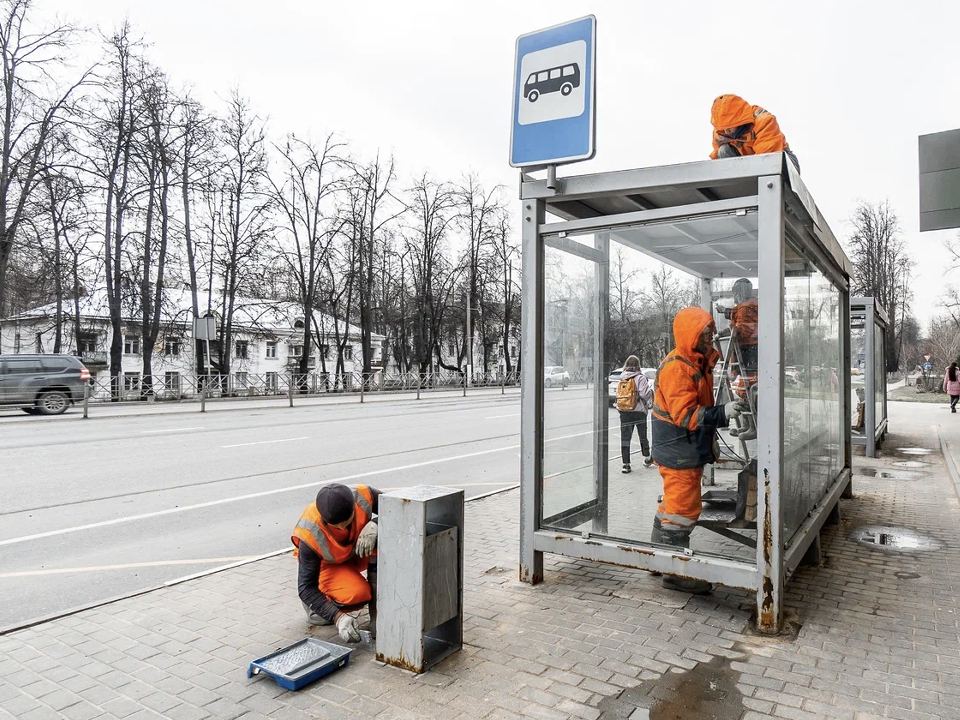 Фото: пресс-служба губернатора и правительства Московской области