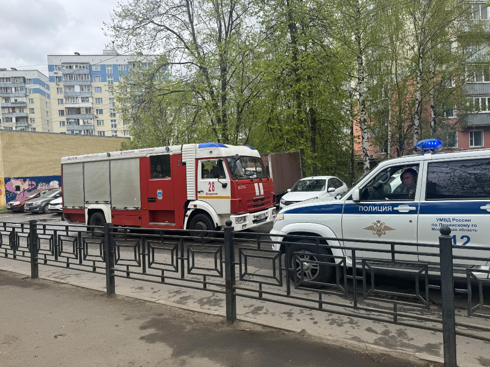 Фото: Полина Абраменко