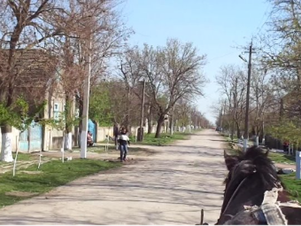 Село Новая Ивановка. Фото: личный архив Елисея Филатова