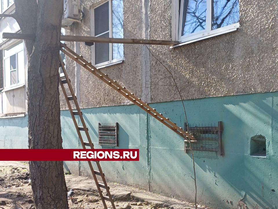 Фото: Оксана Иванова