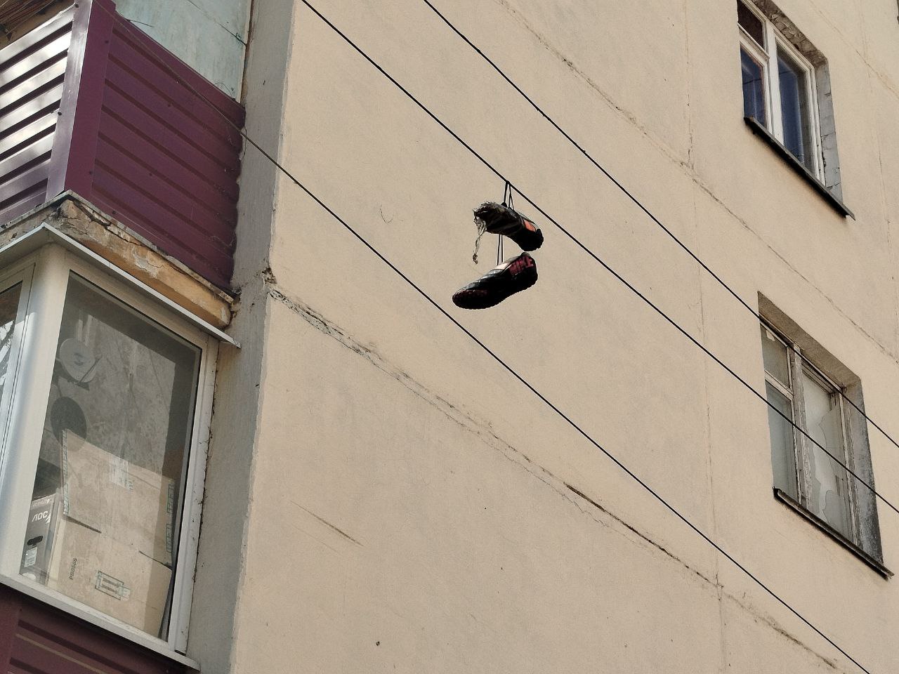 Фото: Наталья Дорофеева 
