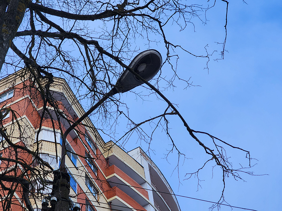 Фото: МедиаБанк Подмосковья/Валентина Максимова