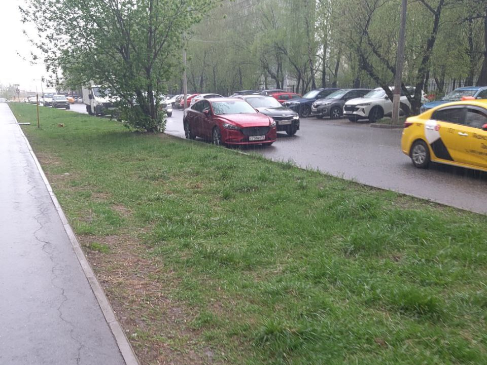 Фото: администрация г.о. Реутов