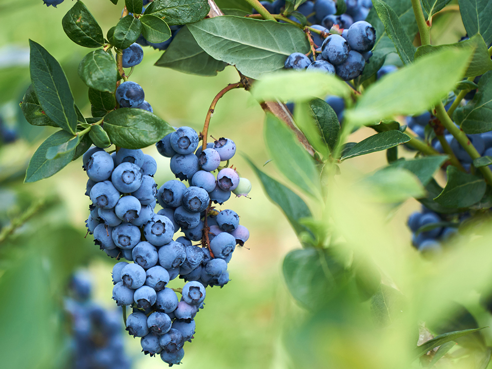 Фото: istockphoto.com