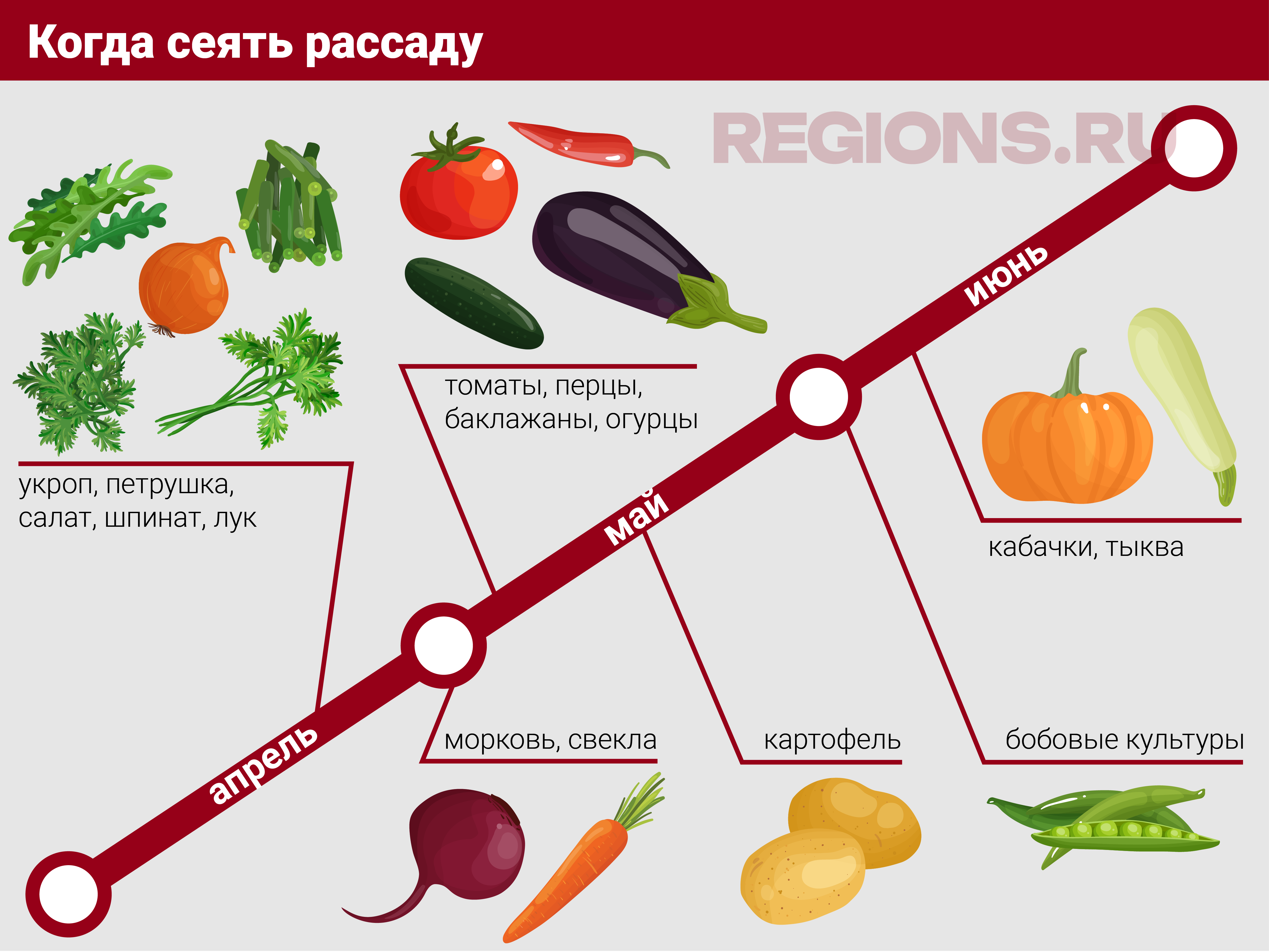 Фото: REGIONS