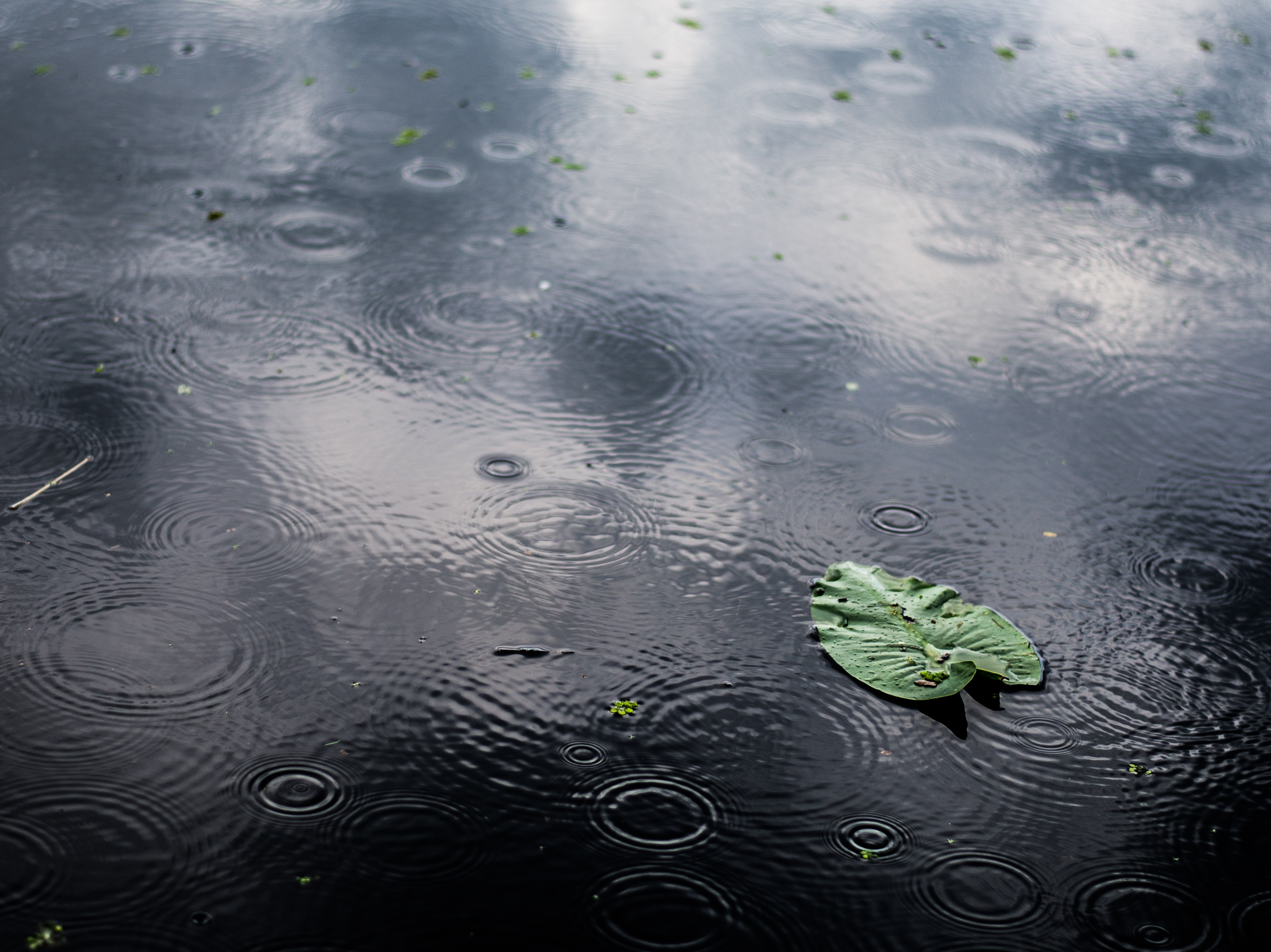 Фото: freepik.com