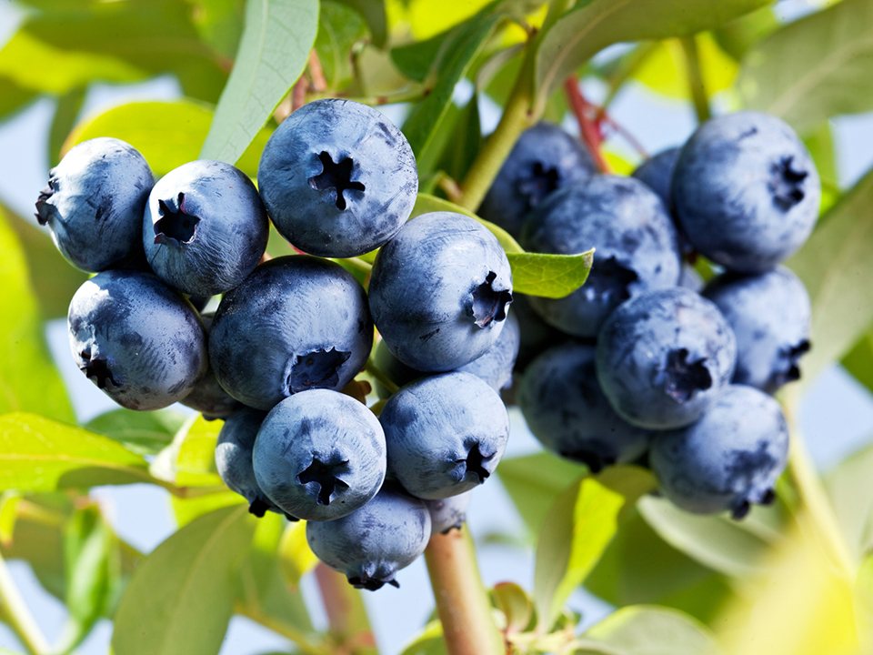 Фото: istockphoto.com