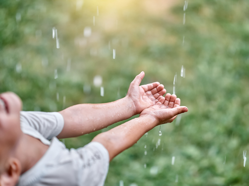 Фото: istockphoto.com