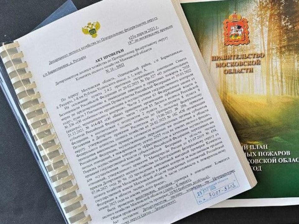 Фото: Комитет лесного хозяйства Московской области