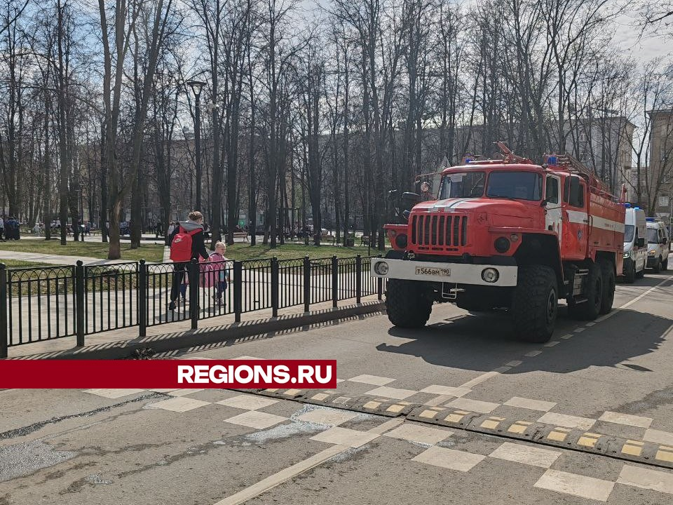 Фото: Георгий Козлов