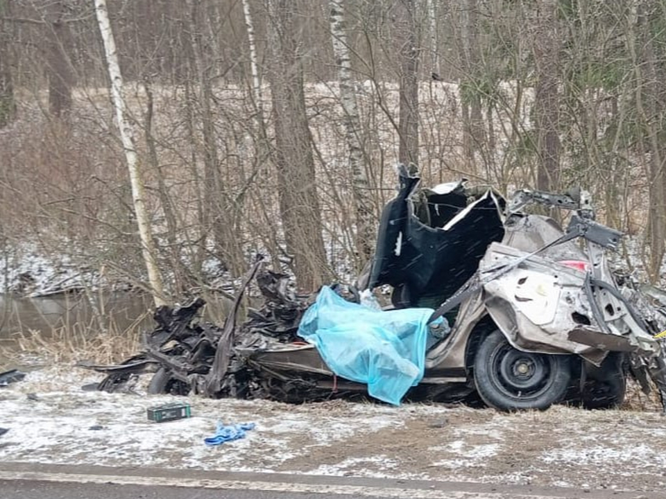 Фото: Управление МВД по Московской области