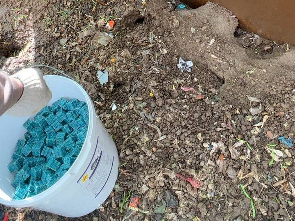 Фото: управление экологии городского округа Мытищи