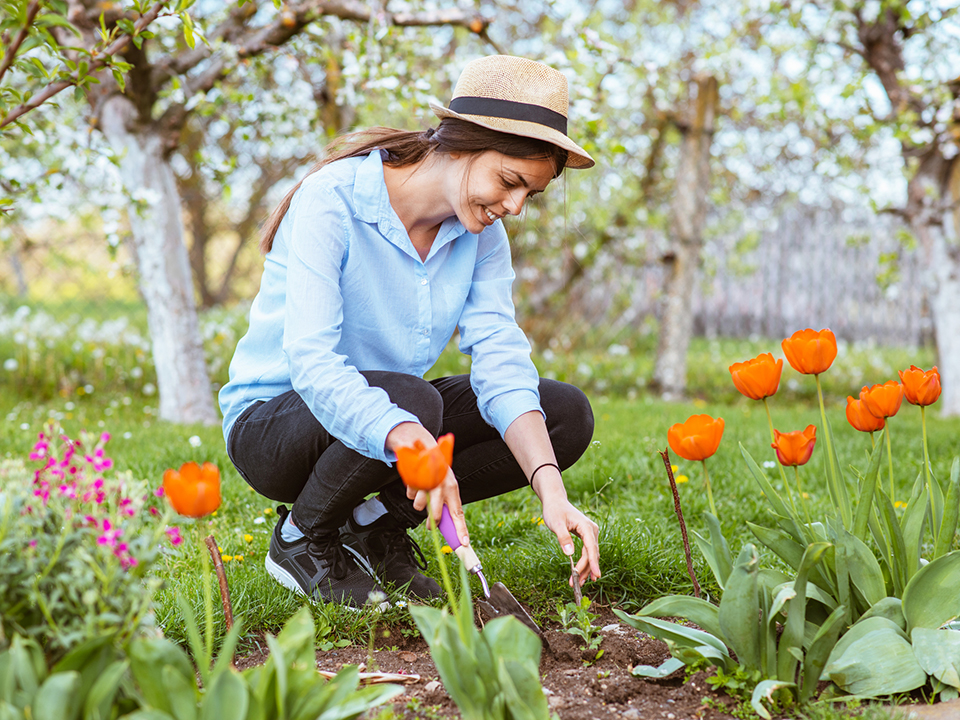 Фото: istockphoto.com