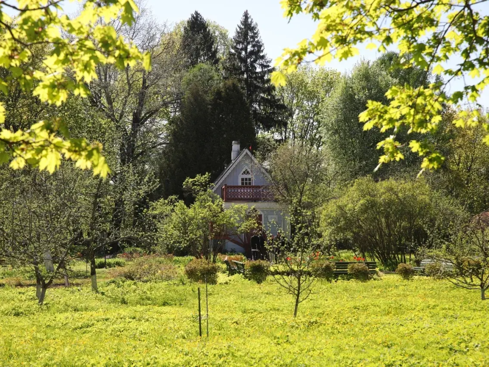 Фото: медиасток.рф