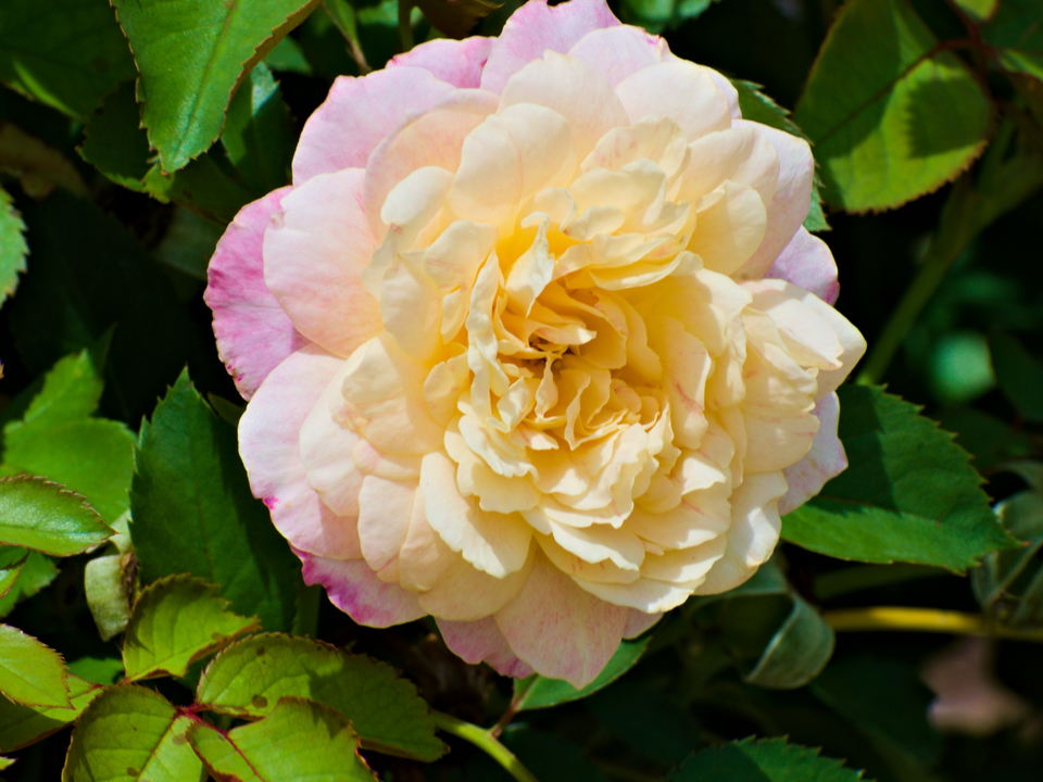 Фото: istockphoto.com
