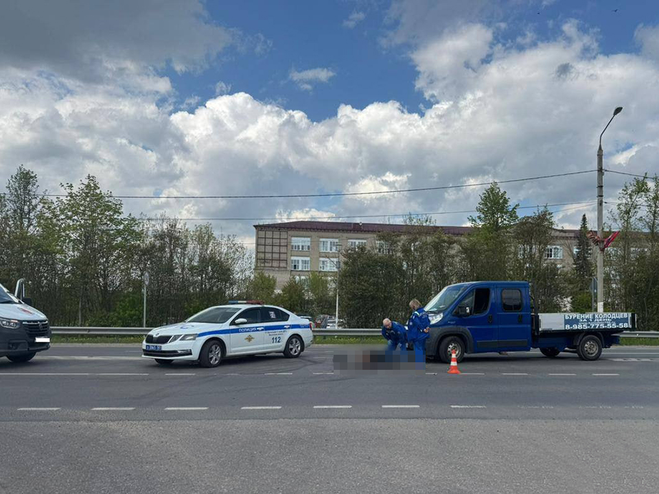 Фото: пресс-служба ГУ МВД России по Московской области