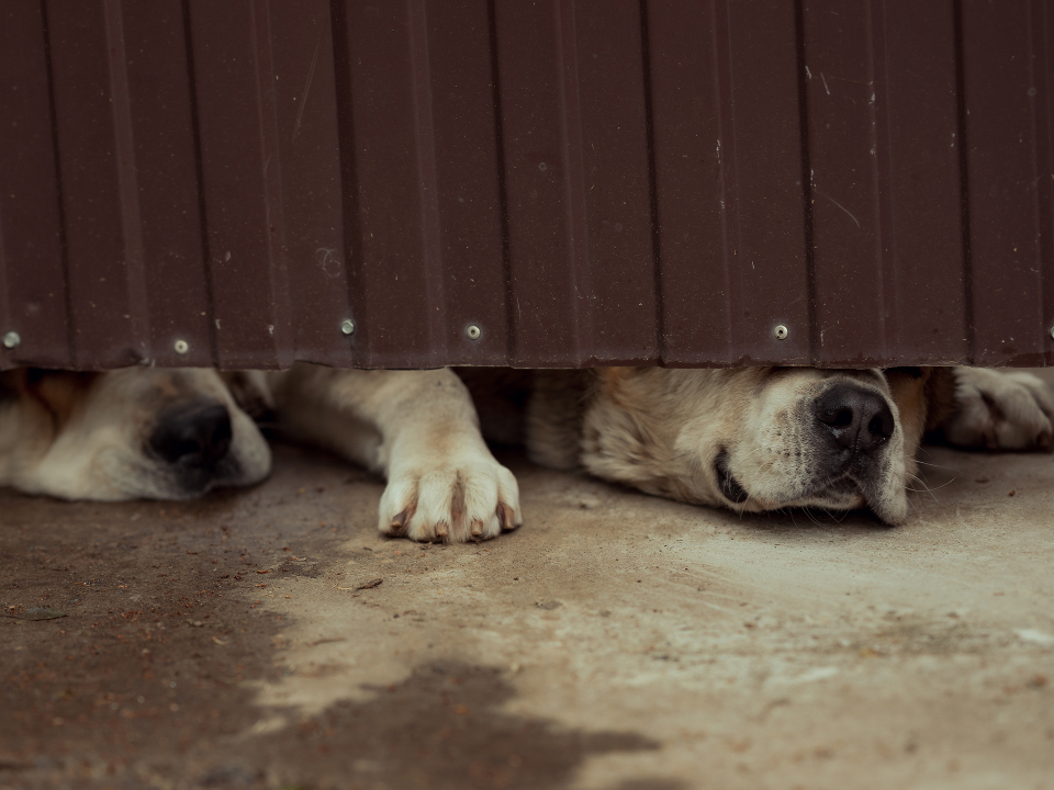 Фото: istockphoto.com