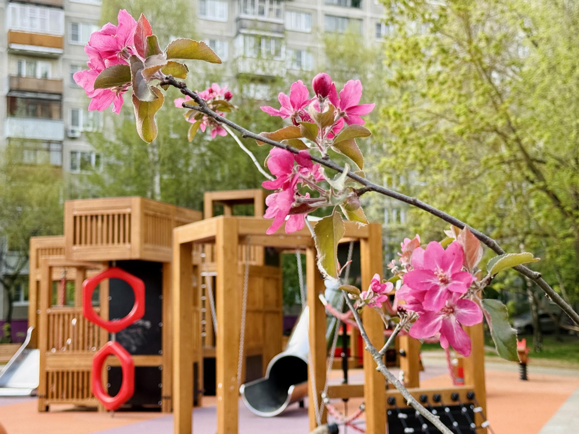 Фото: Ольга Стаферова