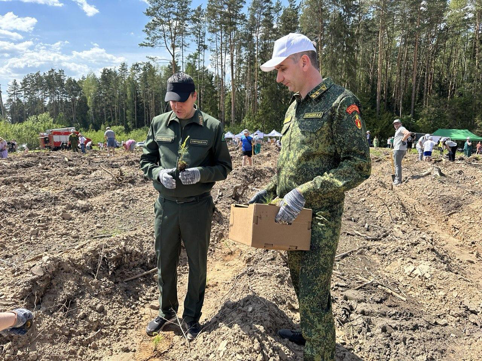 Фото: Комитет лесного хозяйства Московской области
