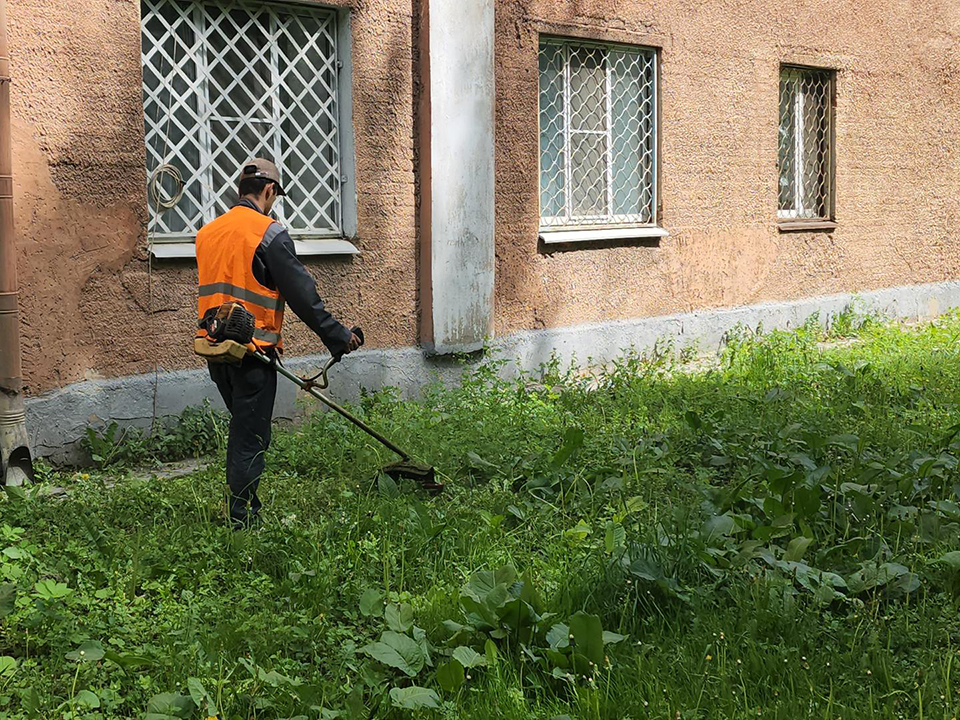 Фото: МедиаБанк Подмосковья/Ольга Шеметова