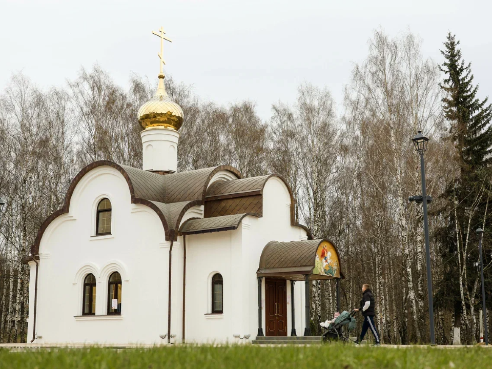 Фото: Администрация Павлово-Посадского г.о.