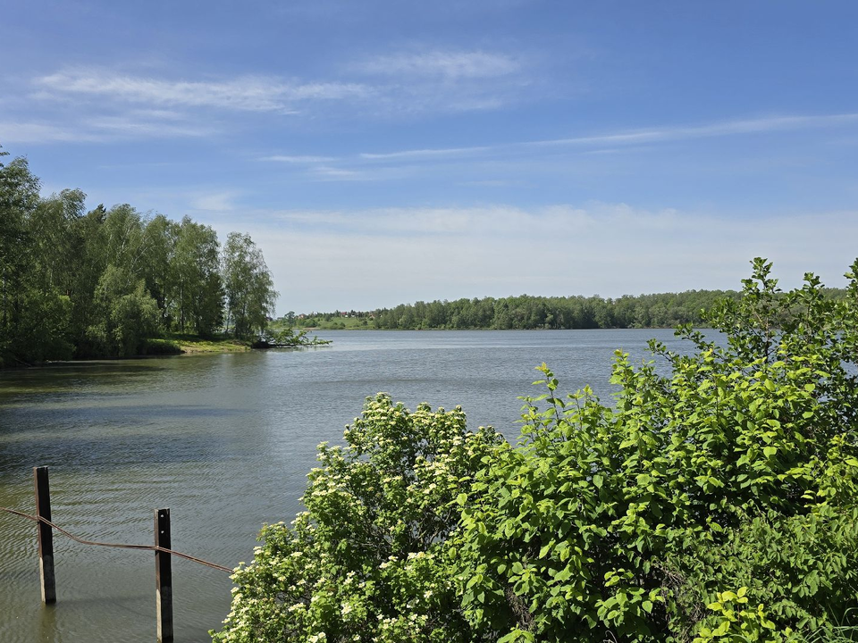 Фото: МедиаБанк Подмосковья/Марина Анисимова
