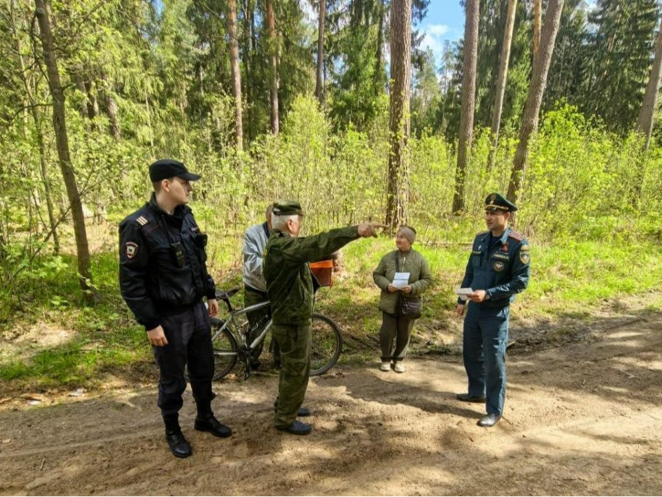 Фото: Комитет лесного хозяйства МО