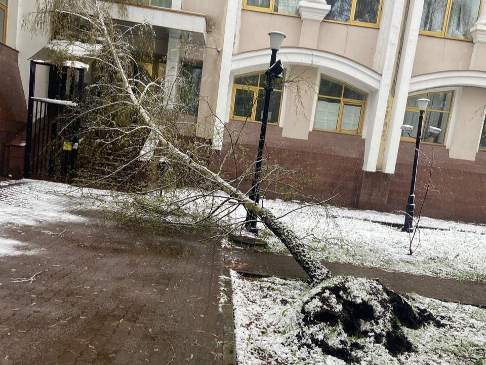 Фото: Администрация Краснознаменска
