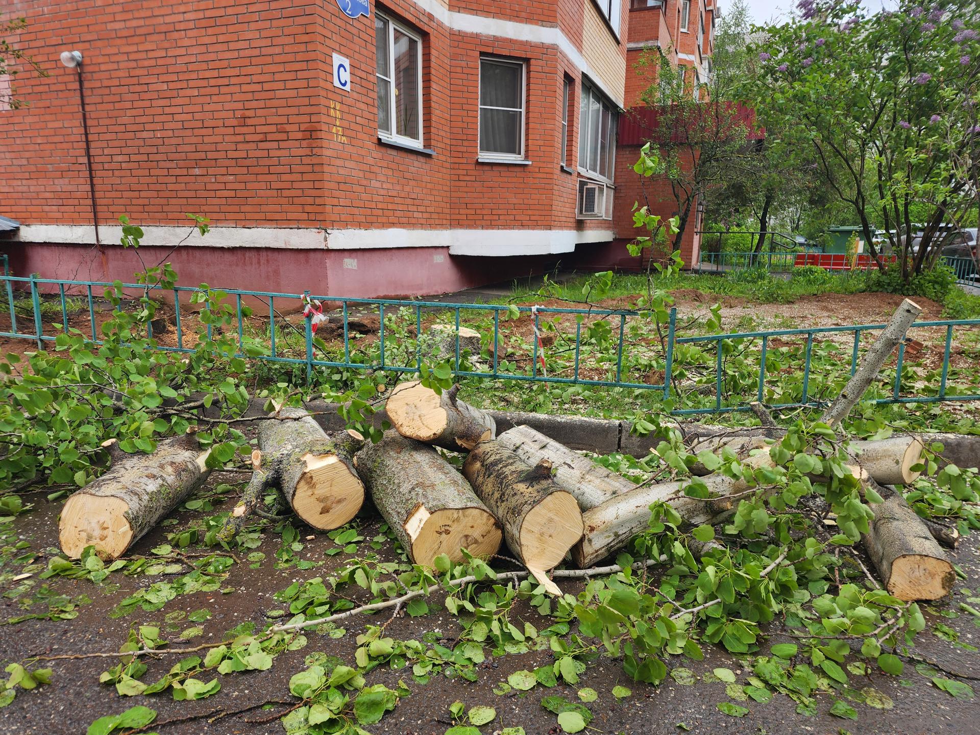 Фото: REGIONS/Наталья Дорошева