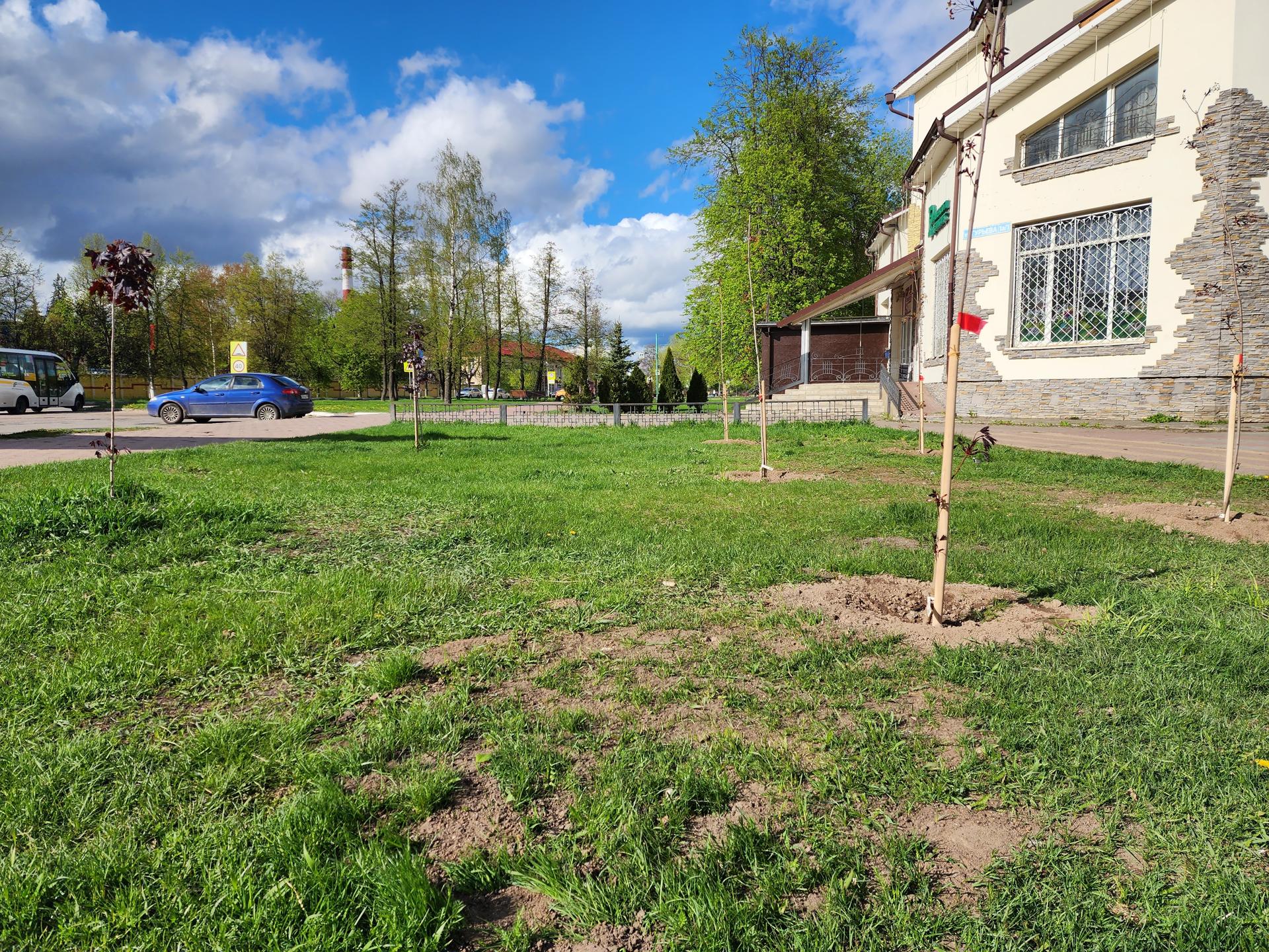 Фото: Ирина Моисеева