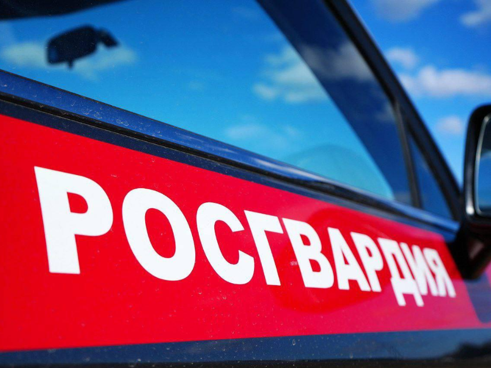 Фото: пресс-служба ГУ Росгвардии по Московской области