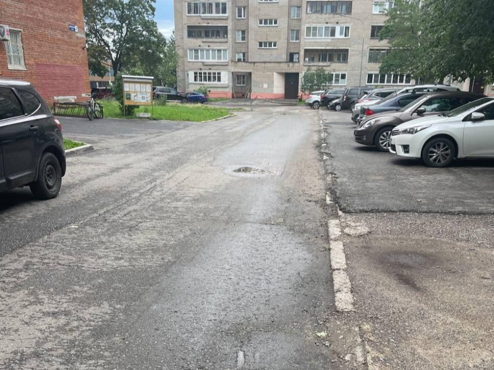 Фото: пресс-служба администрации г. о. Черноголовка