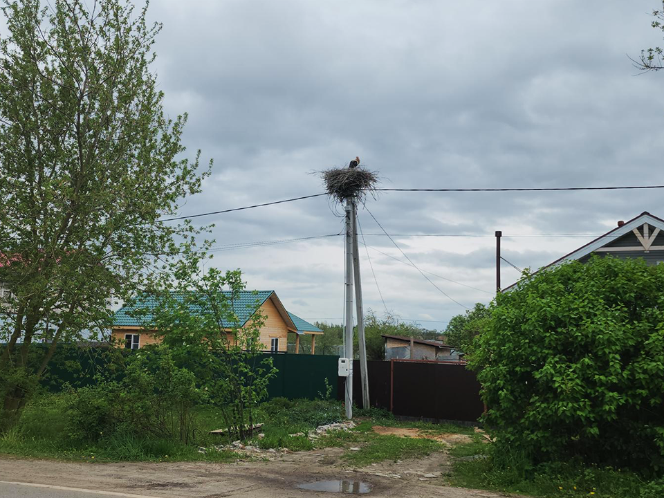 Фото: Андрей Семибратов